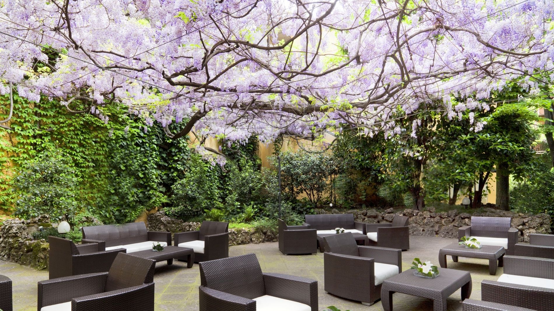 glicine hclub diana giardino privato milano